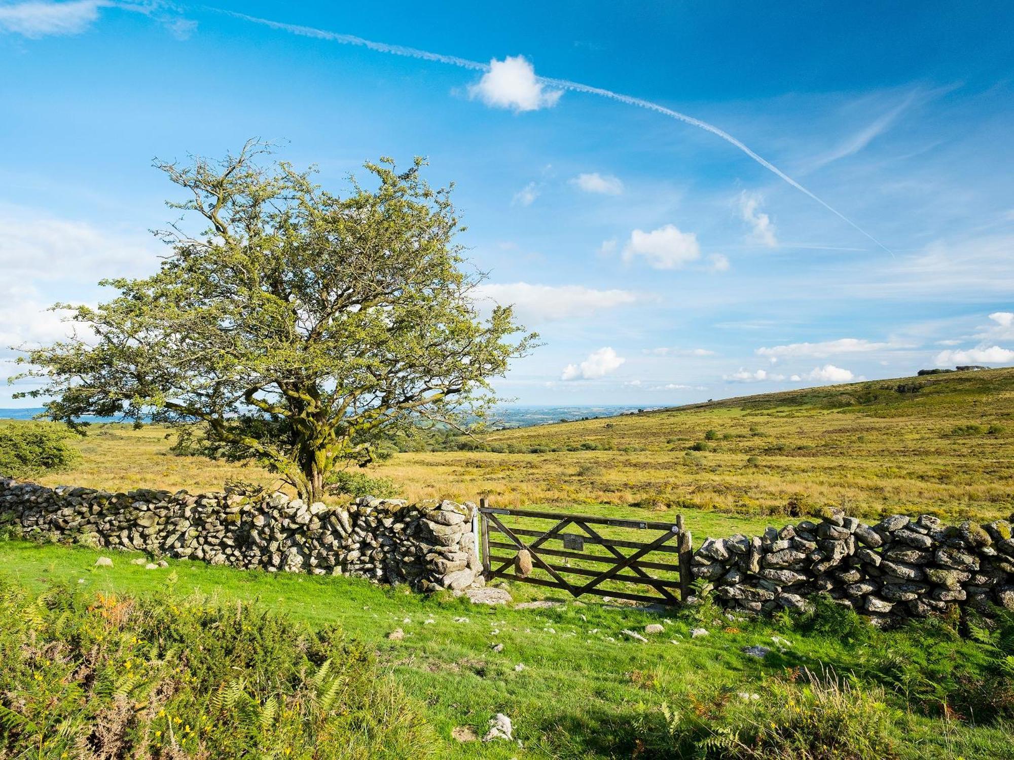 Valley Lodge 2 Callington Екстериор снимка